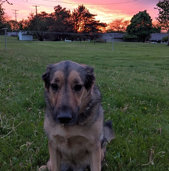 Meet your Posher, Lindsey - Picture 6 of 7